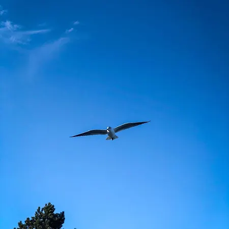 Apartmán Meerzeit Hoch2 Langballig